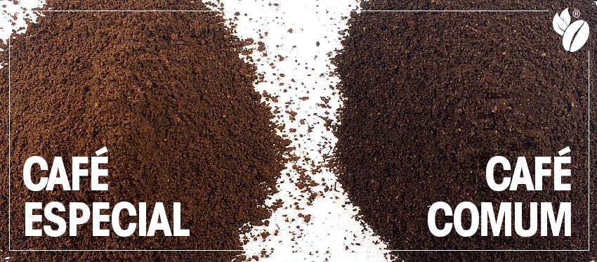 Robusta x Arábica – Diferenças dos tipos de Café mais consumidos no mundo.